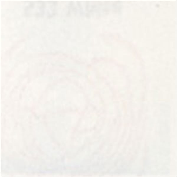 Thompson Enamels for Float - Opaque - White - 56g