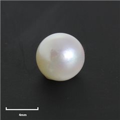 Perle Naturelle - 7-7.5mm - Trou 0.8mm