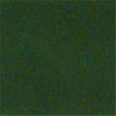 Colourmaster - Opalescent - Dark Green - 50g