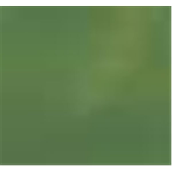Thompson Email pour Effetre - Opaque Apple Green - 56g